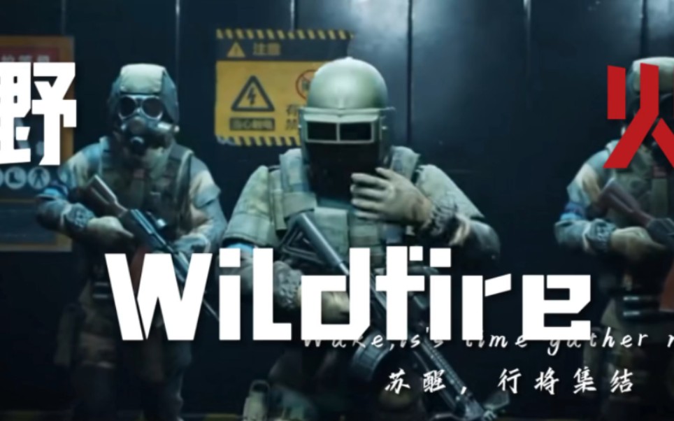 [图]『暗区突围×野火Wildfire』致给所有特遣队员，祝暗区突围一周年快乐！