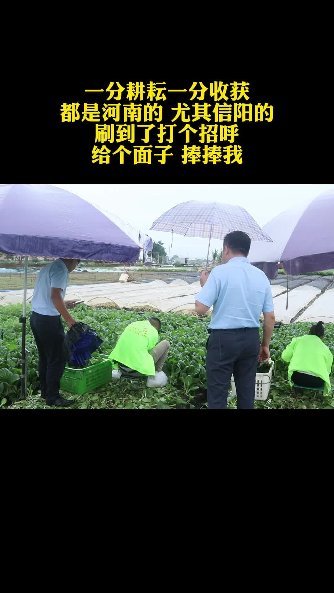 广州生鲜食材配送服务公司,提供农产品、生鲜、粮油、蔬果等专业配送;品质保障,是您可靠的食堂配送选择.哔哩哔哩bilibili