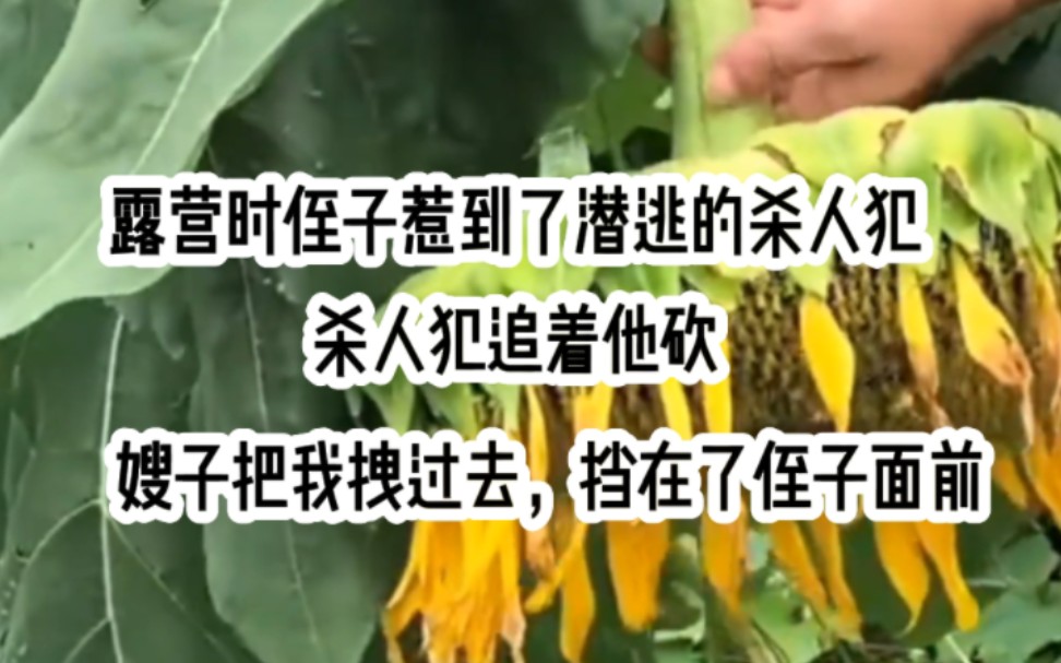 《杏子潜逃》在露营的时候,侄子惹到了潜逃的杀人犯,杀人犯追着他砍.嫂子把我拽过去,挡在了侄子面前.哔哩哔哩bilibili