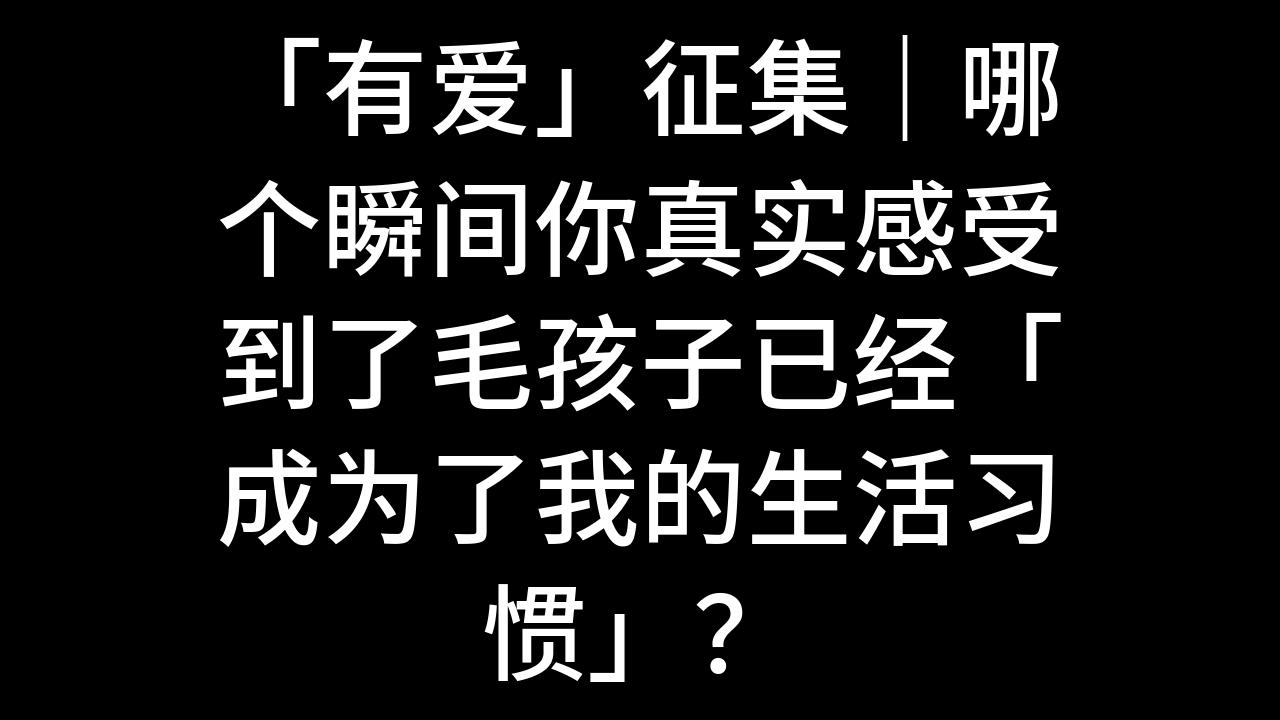 今日话题:「有爱」征集|哪个瞬间你真实感受到了毛孩子已经「成为了我的生活习惯」?哔哩哔哩bilibili