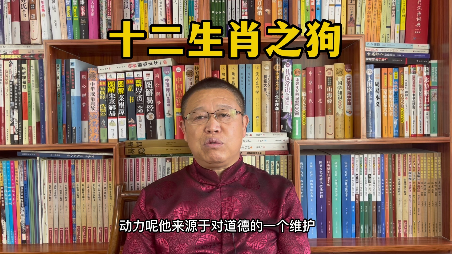 秦华讲解十二生肖,十二生肖之狗,属狗的人怎么样?哔哩哔哩bilibili