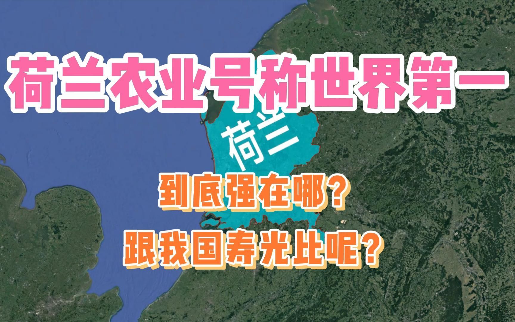 荷兰的农业号称世界第一,到底强在哪?跟我国寿光比呢?哔哩哔哩bilibili