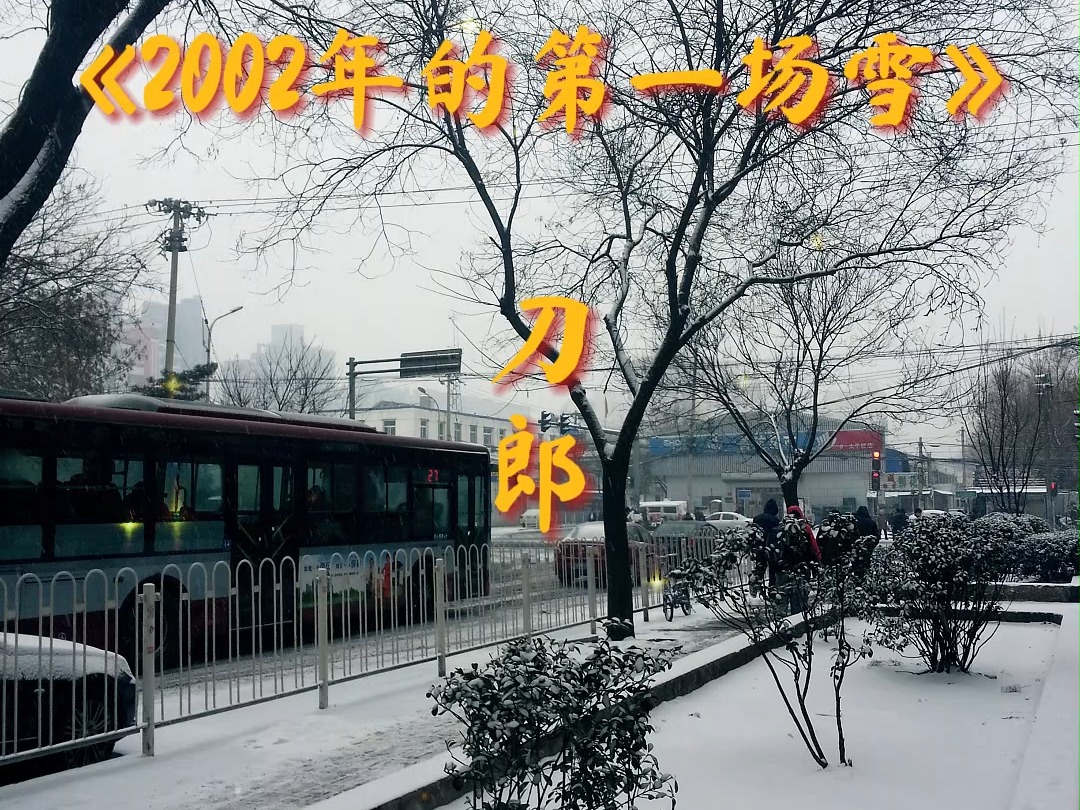 2002年的第一场雪八楼图片