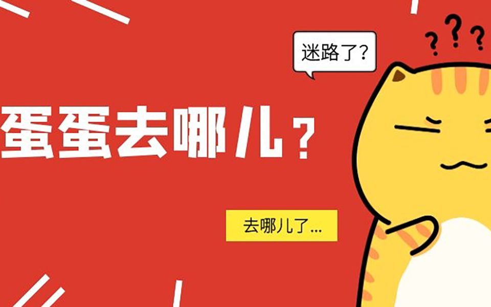 猫隐睾:迷途的蛋蛋哔哩哔哩bilibili