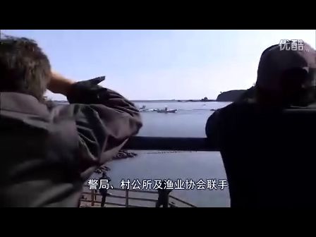 [图]与鲸共生 “海豚湾”太地町的六个月 【NHK纪录片】