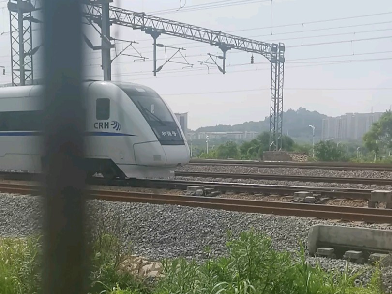 CRH1A1083进泉州站哔哩哔哩bilibili