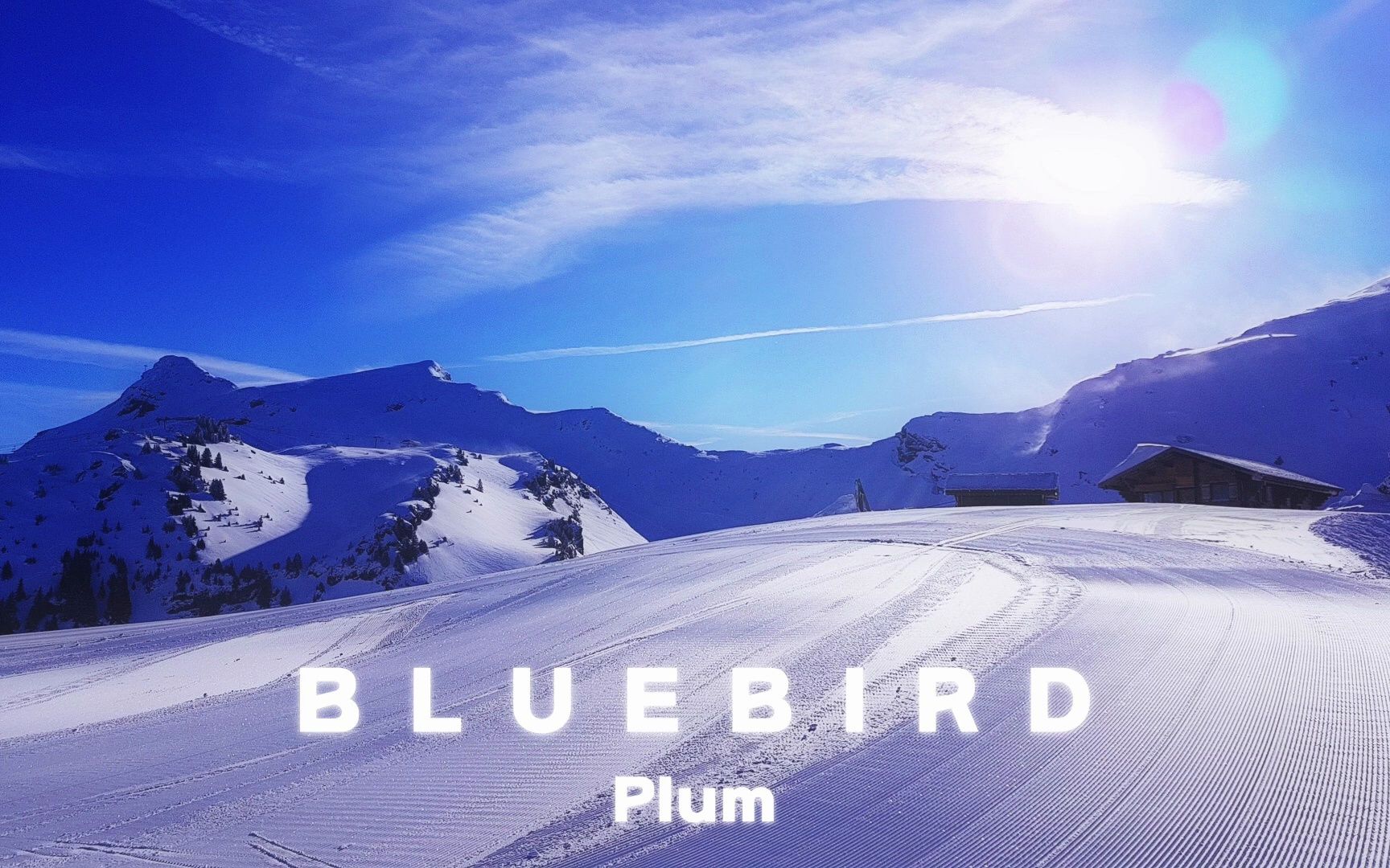 【Plum新曲】Bluebird by Plum / 清凉又充满希望感的音乐哔哩哔哩bilibili