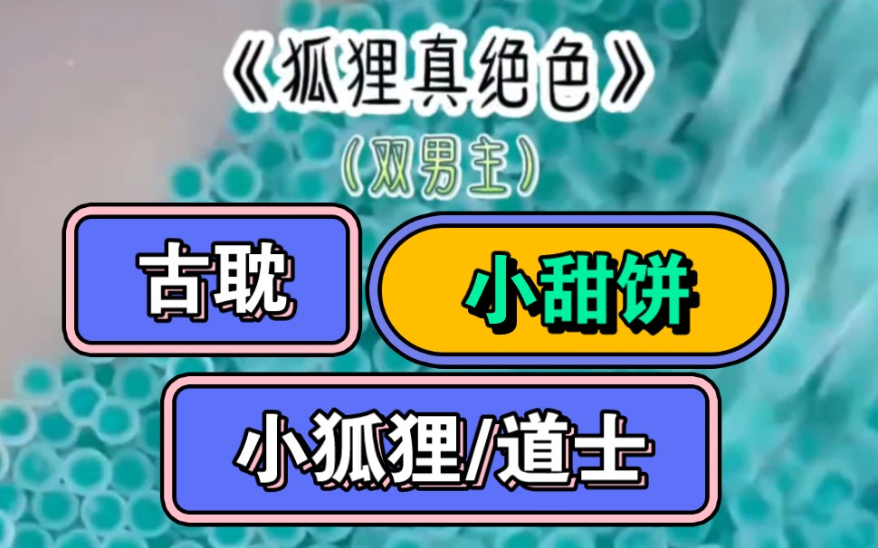 《狐狸真绝色》双男主/古耽小甜饼/绝美小狐狸/腹黑道士哔哩哔哩bilibili