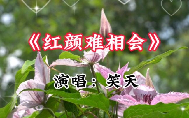 [图]新歌上线《红颜难相会》完整版，词曲优美，旋律动感，听醉了