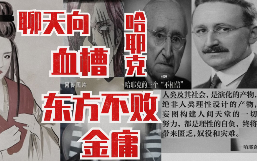 血槽姐怎么也想不到的碰撞,哈耶克VS东方不败-XYK云帆沧海-XYK云帆沧海-哔哩哔哩视频