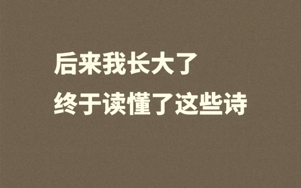 后来我长大了,终于读懂了这些诗哔哩哔哩bilibili