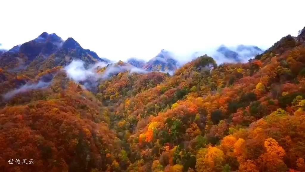 超清航拍光雾山风景区 看层林尽染万山红遍 赏五彩斑斓红叶正当时哔哩哔哩bilibili