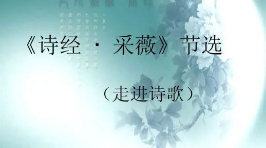 小学六年级 采薇 节选