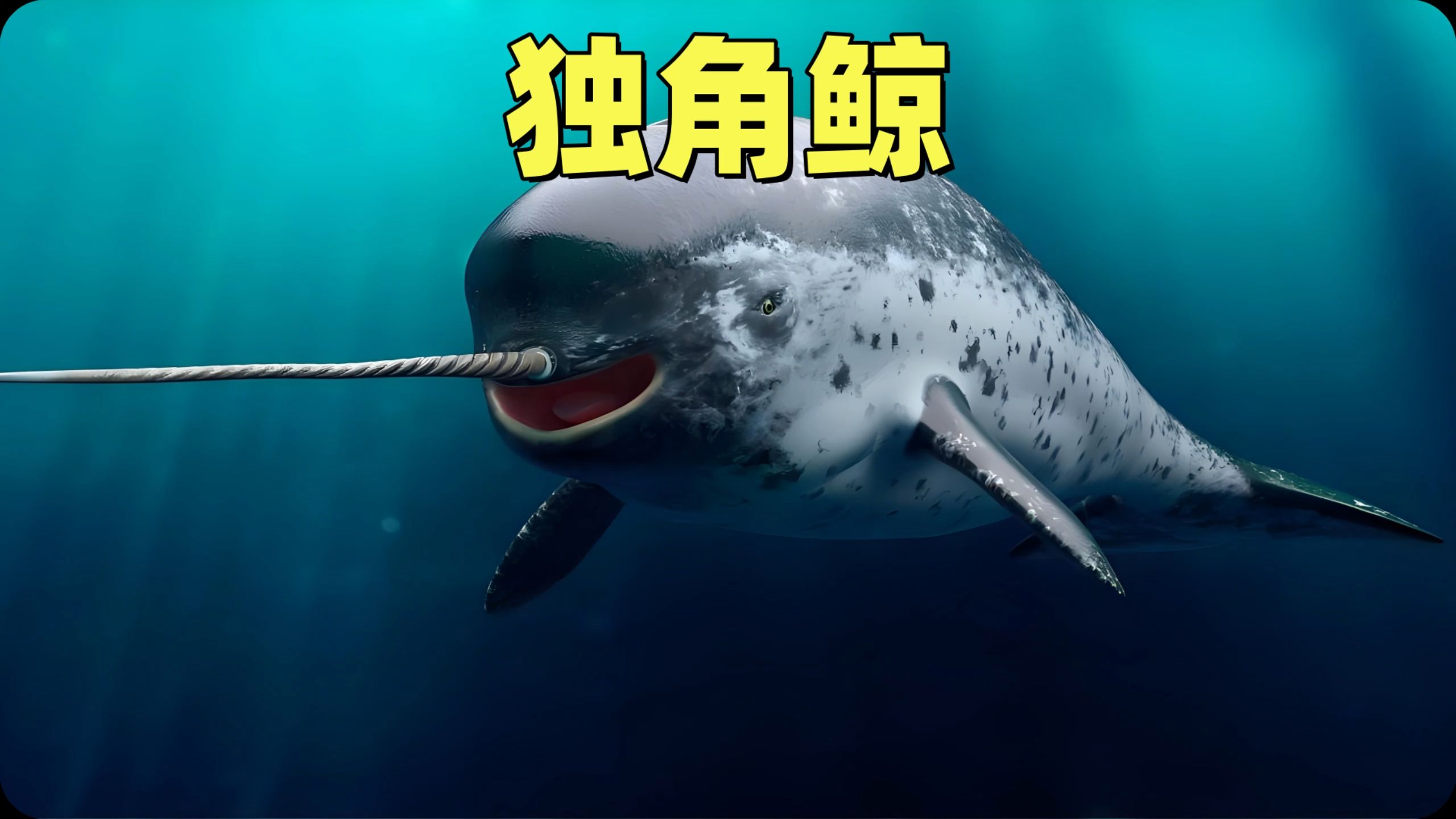 《北极之光独角鲸:长牙之谜,濒危之境与文化象征的奇幻生物》