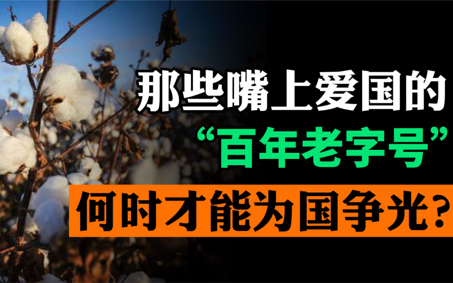 假货泛滥的恒源祥 又贵又难吃的狗不理 这些老字号品牌究竟都怎么了?哔哩哔哩bilibili