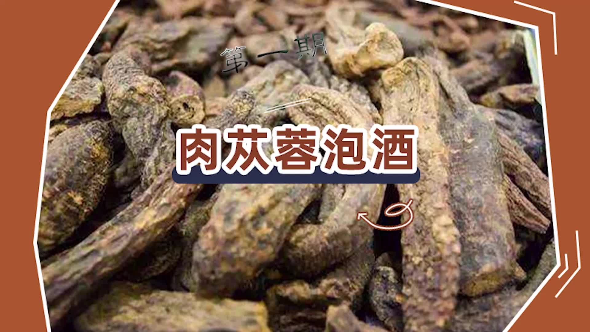 肉苁蓉泡酒的比例是多少,一分钟教会你自制肉苁蓉酒哔哩哔哩bilibili