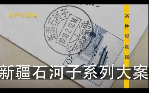 [图]新疆石河子系列大案