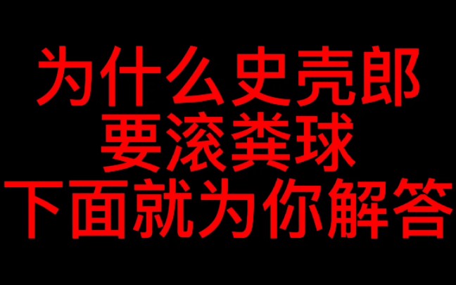 [图]为什么史壳郎要滚绣球