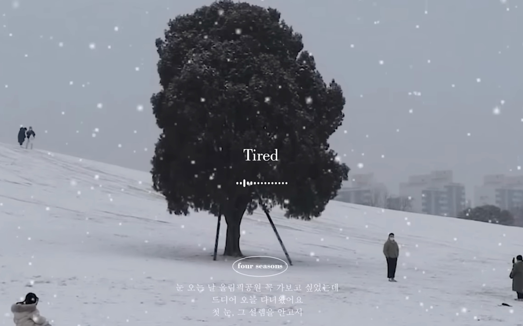 [图]????????·初雪❄️心动的冬天来了 the first snow