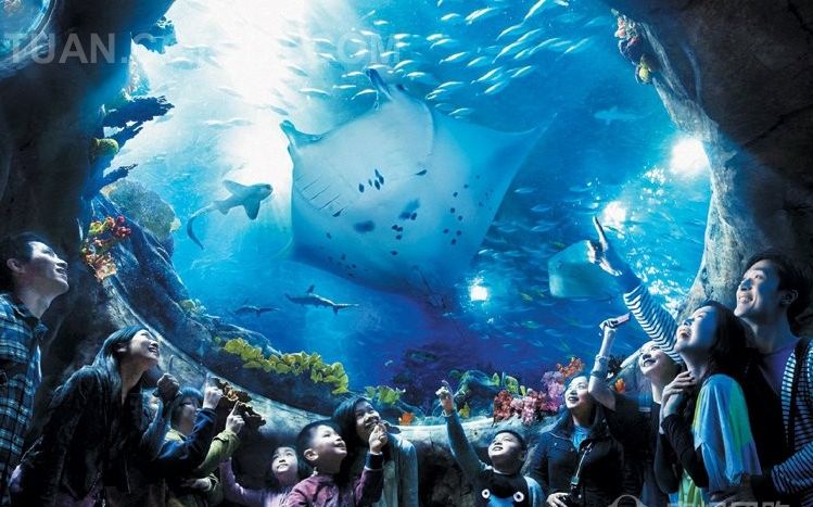 香港海洋公园水族馆图片