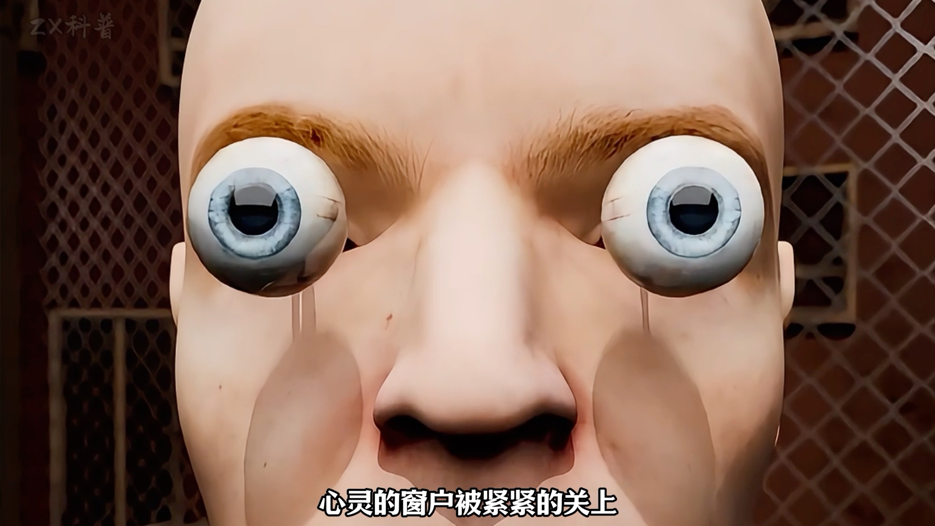 失去眼睛,你能看到什么?