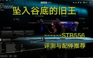 Download Video: 【使命召唤19】坠入谷底的旧王------STB556 评测与配件推荐【COD19实战研究所 第二十期】