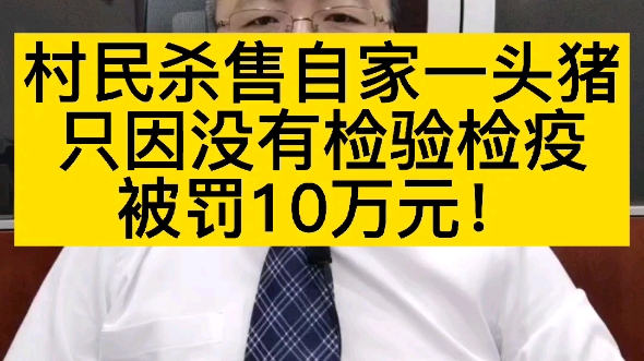 村民杀售自家一头猪,只因没有检验检疫,被罚10万元!哔哩哔哩bilibili