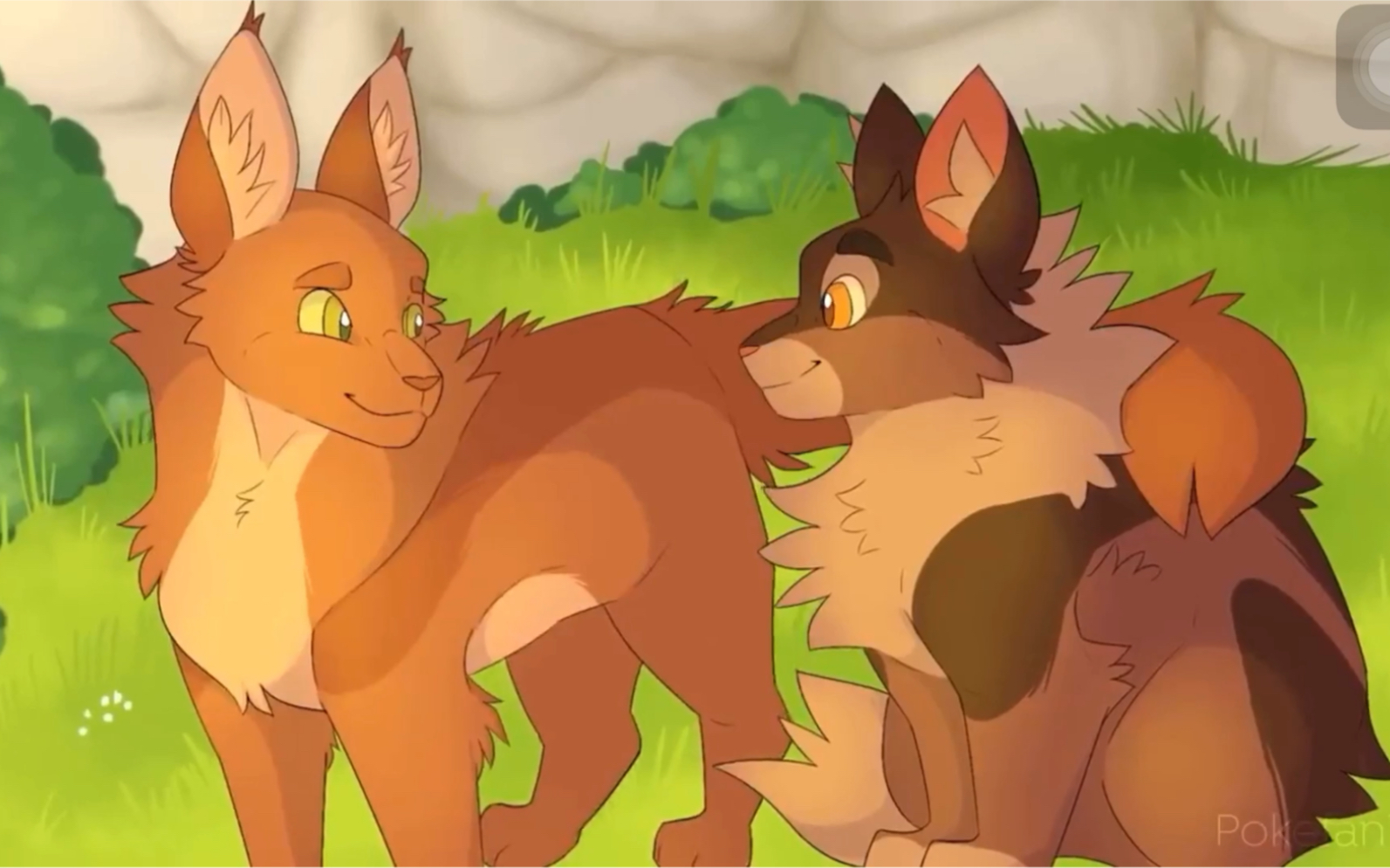 [油管/猫武士]黑莓掌 here i am map