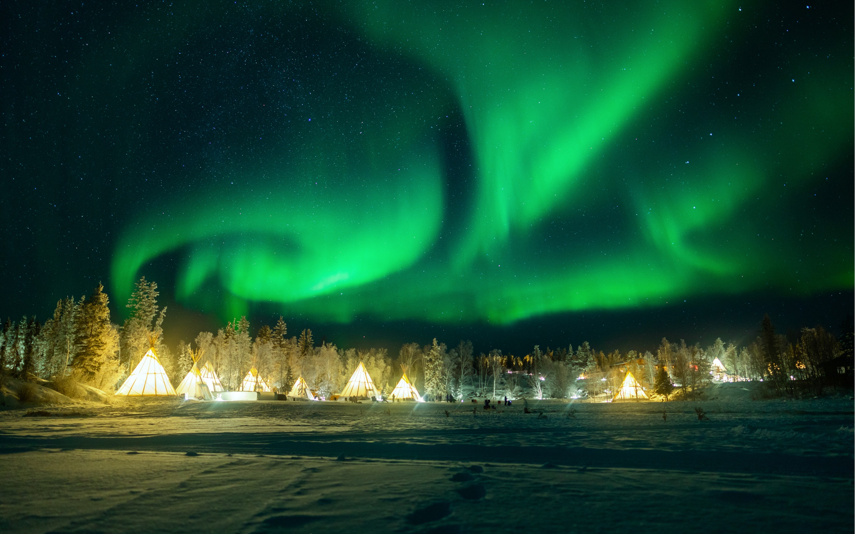 嘘,这个秘密营地居然可以看北极光_哔哩哔哩 (゜-゜)つロ 干杯~-bilib