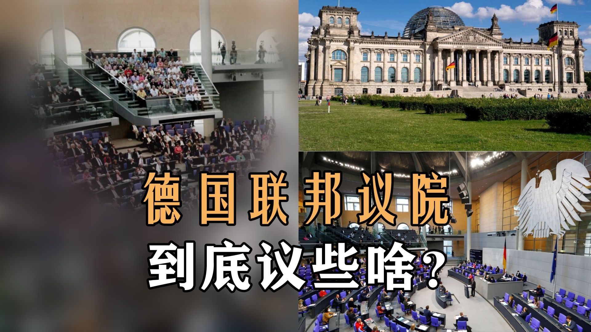 德国联邦议院到底议些啥?