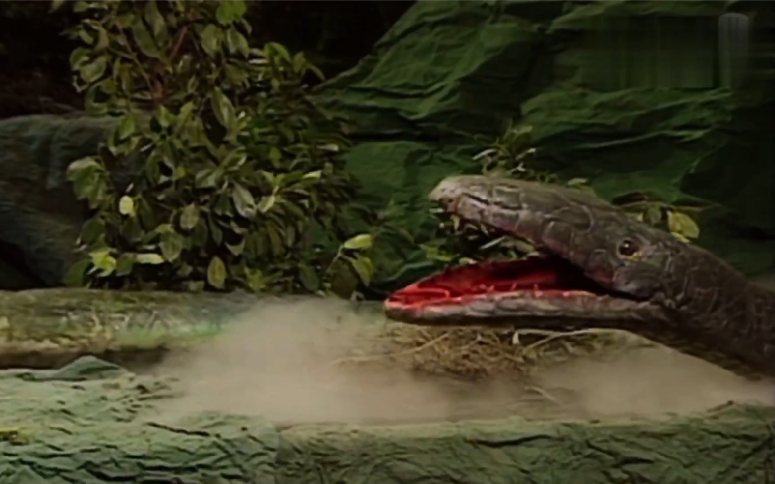 小青端午显原形_哔哩哔哩_bilibili