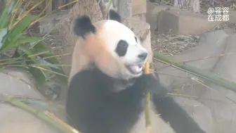 下载视频: 侧面ber润玥清楚可见小鸟眼圈、潦草的朵朵、还有深浅的修容…可爱极了