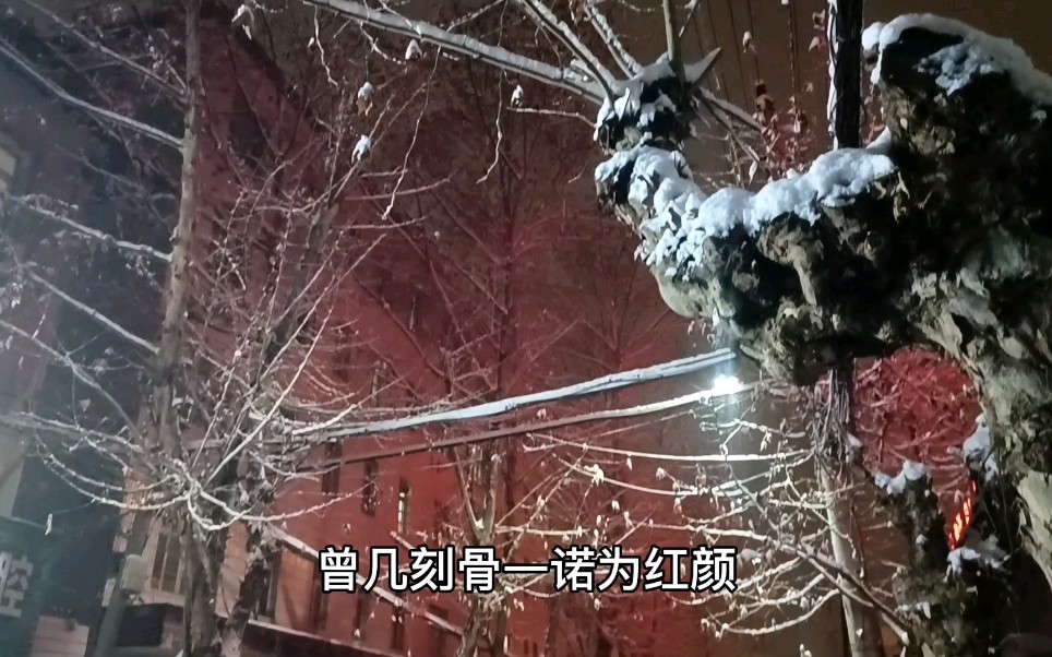 [图]看世间落雪三千！