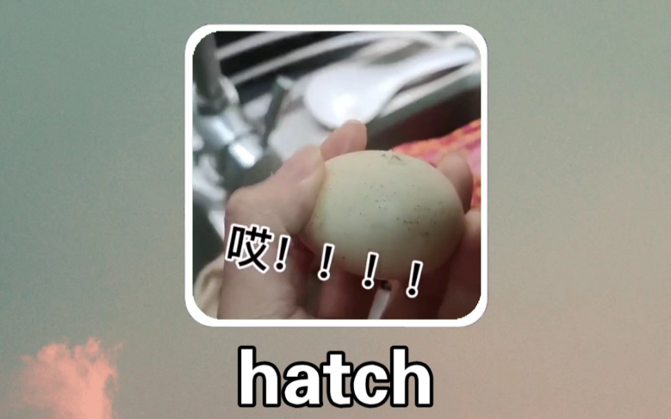 搞笑英语:孵化 hatch哔哩哔哩bilibili