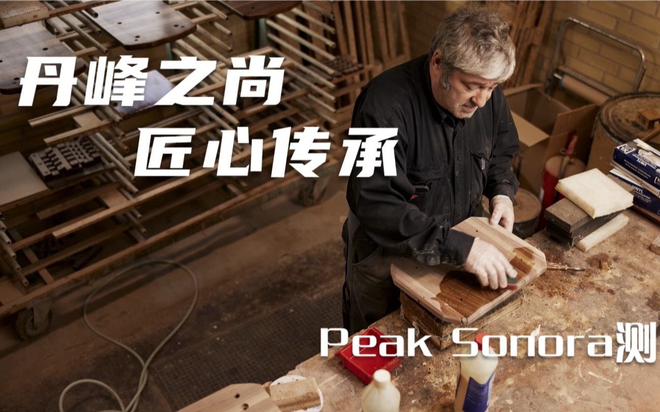 丹峰之尚Peak Sonora测评哔哩哔哩bilibili