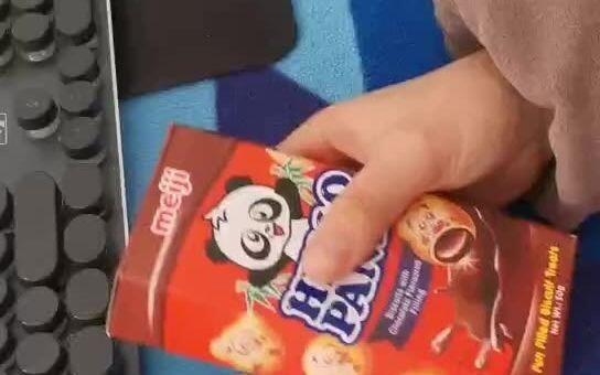 明治小熊饼干摇成球