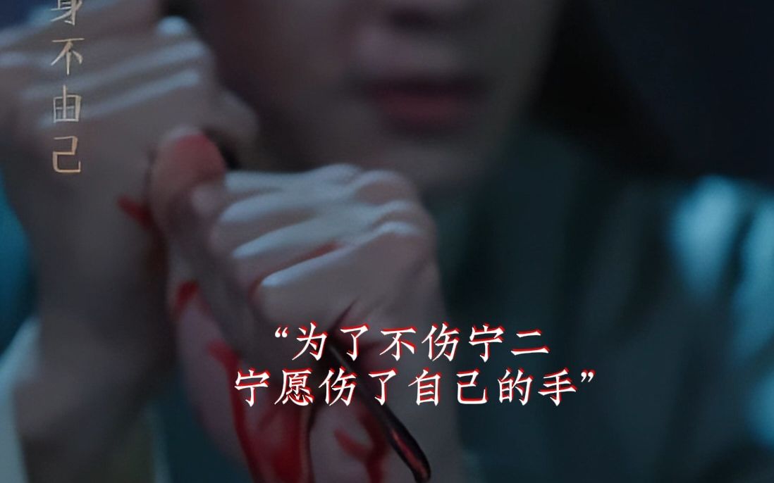 细节就是爱琴如命的谢危离魂症发作,宁愿伤自己的手,也不愿伤宁二分毫