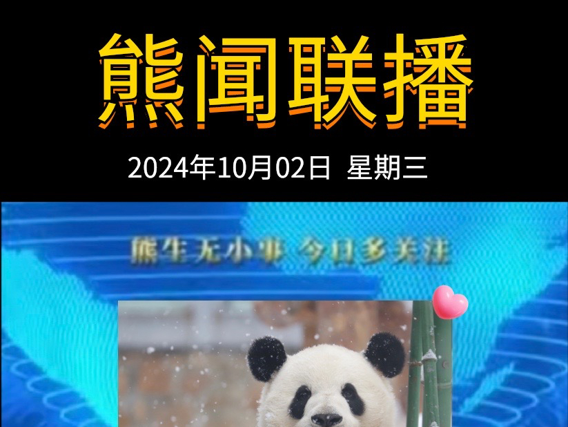 《熊闻联播》|带你了解天下熊事,2024.10.2熊圈又发生了什么?(原视频素材来源网络)哔哩哔哩bilibili