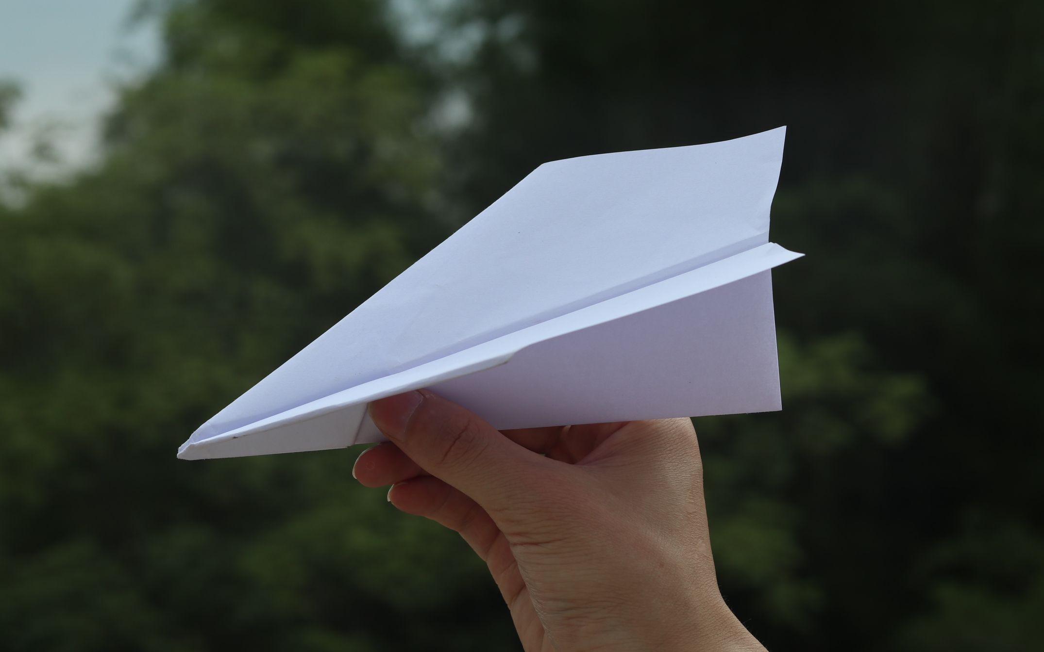 飞得最远的十大纸飞机图片