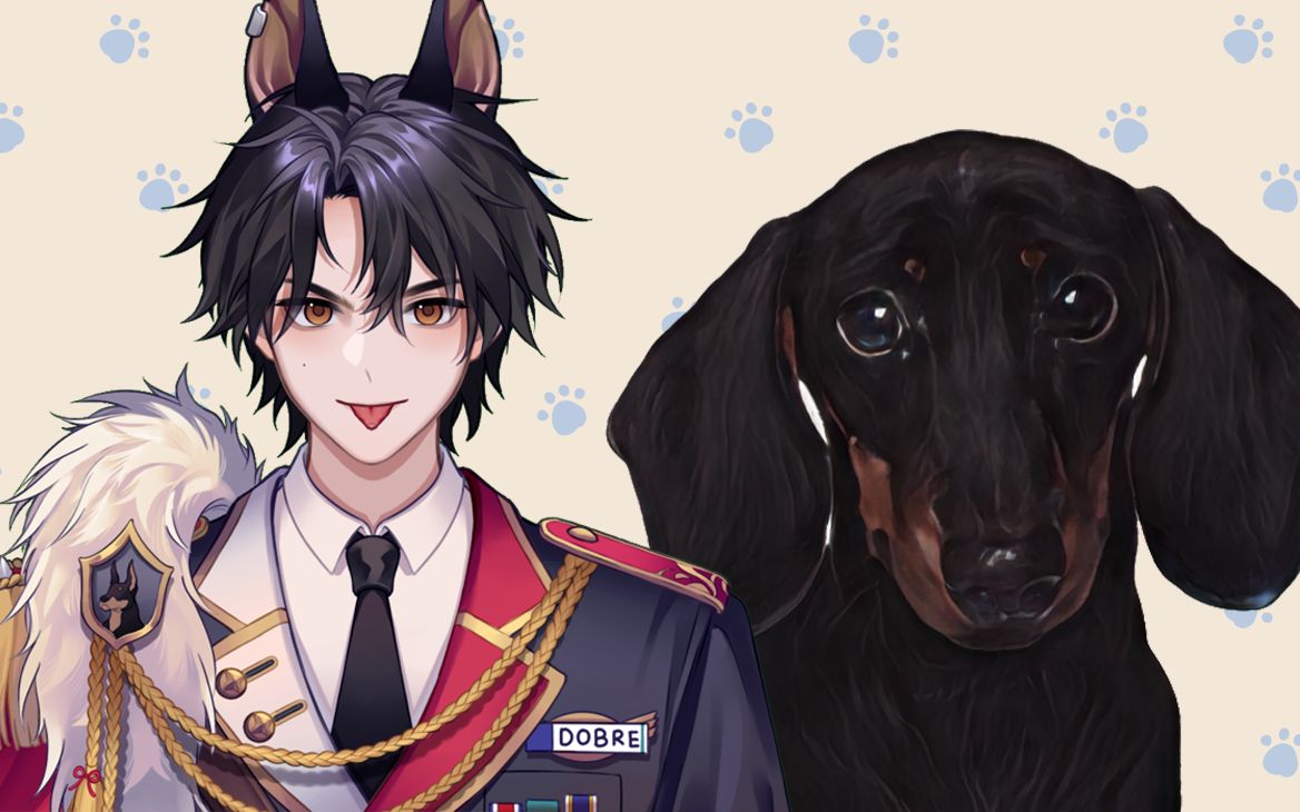 【Dobre的狗狗百科】第42期【腊肠犬(Dachshund)】哔哩哔哩bilibili