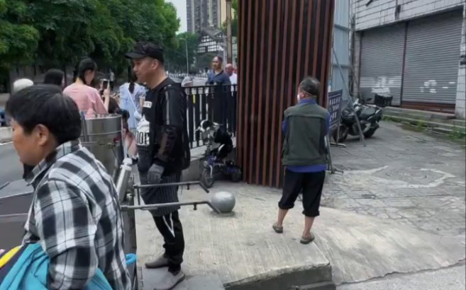 边牧接娃放学