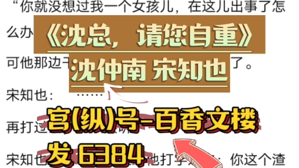 『百香文楼』小说《沈总,请您自重》沈仲南宋知也哔哩哔哩bilibili