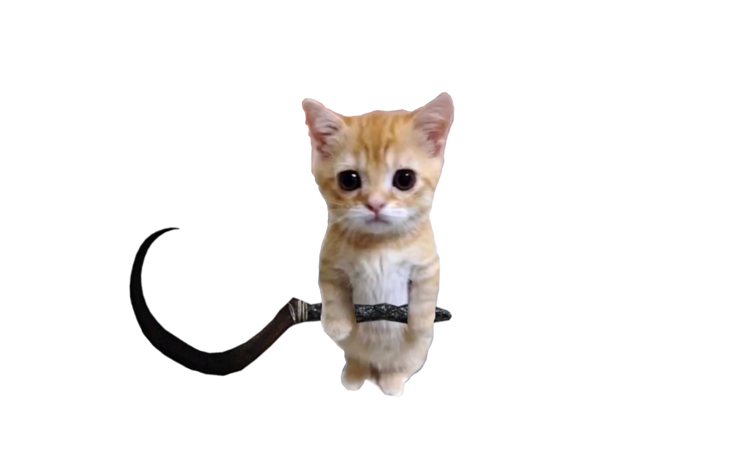 可颂猫,but濡湿小镰刀