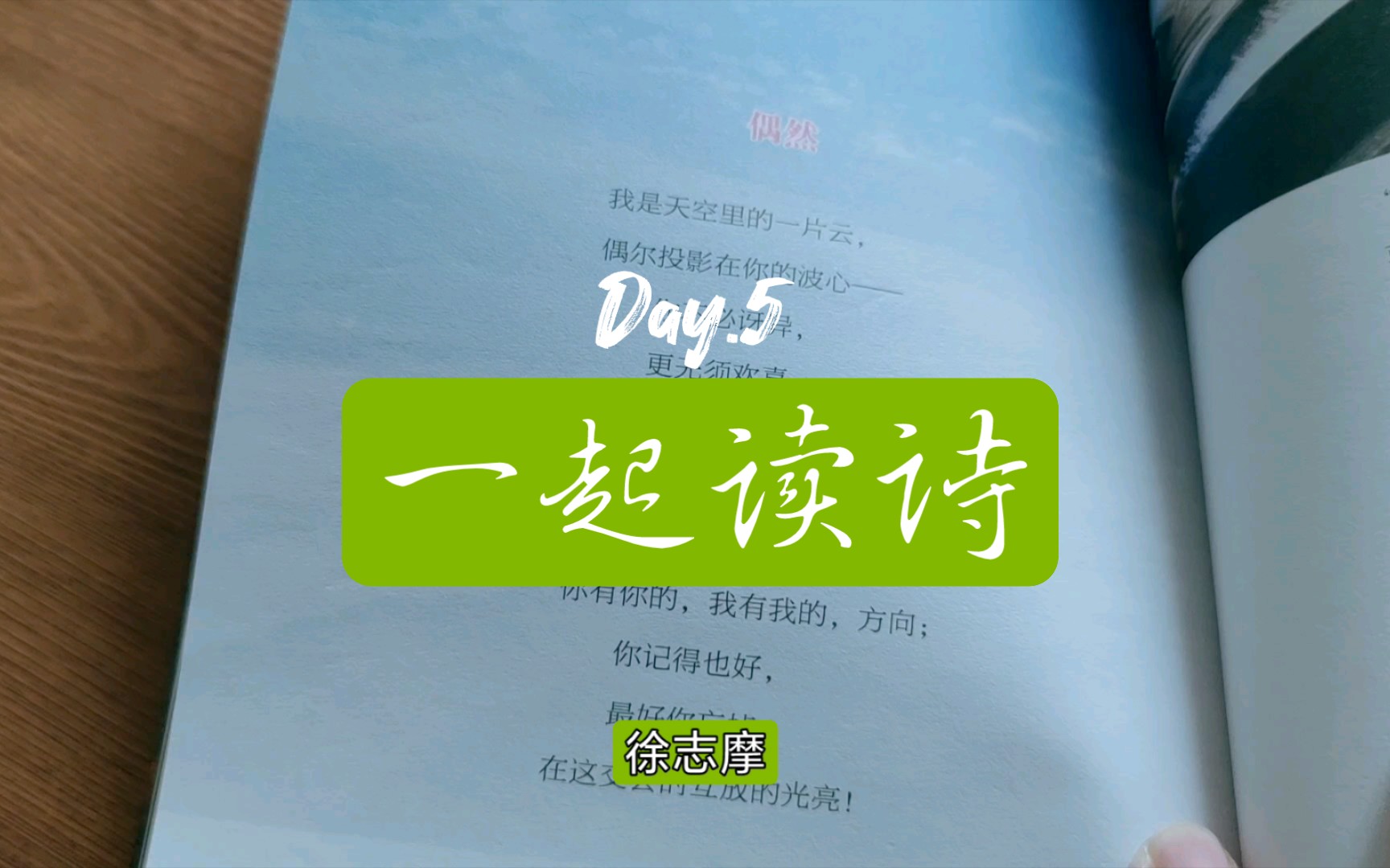 day5徐志摩《偶然》