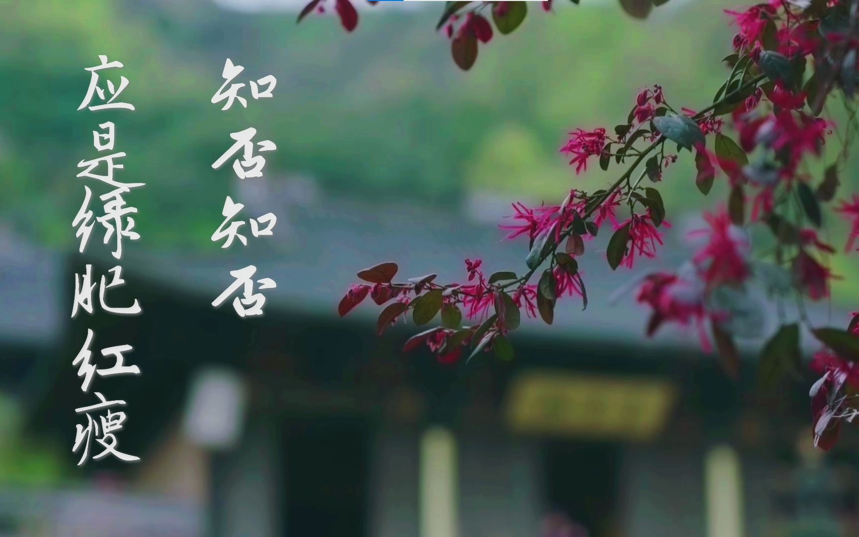 【知否绝美空镜】身临其境观宋朝风光-ai熠烊-素材-哔哩哔哩视频