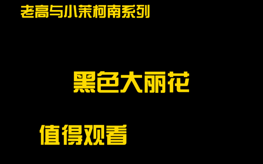 20201017【柯南系列】最有名的尸体,黑色大丽花.【搬运ⷨ€高与小茉】哔哩哔哩bilibili