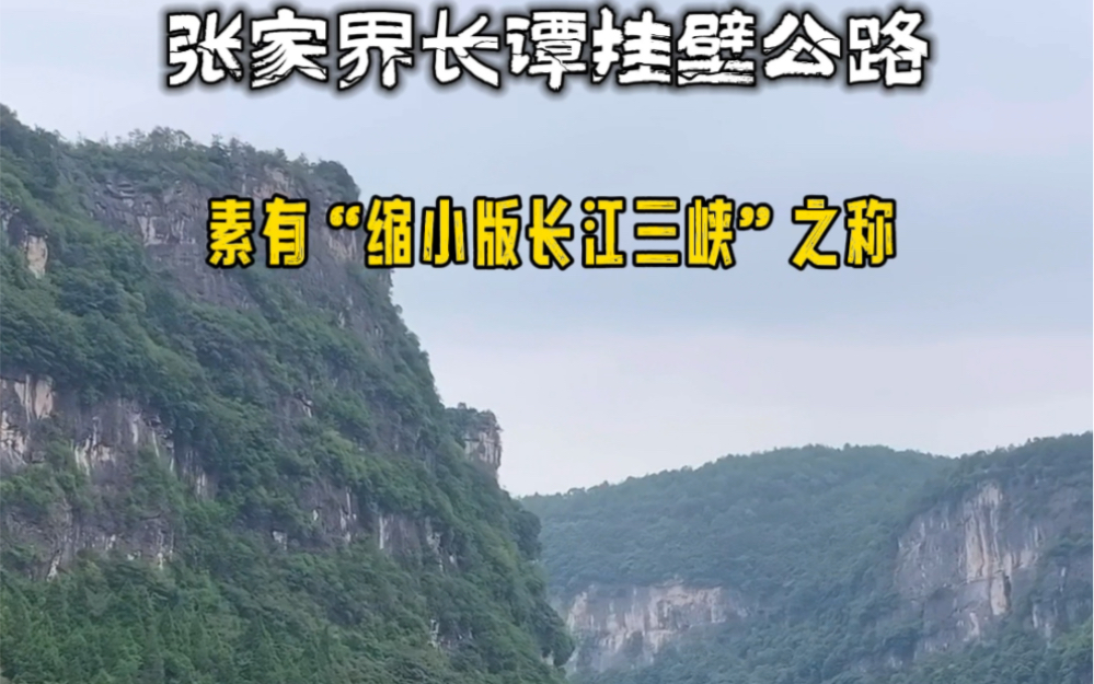 在湖南张家界,居然隐藏着一条挂壁公路,像极了“缩小版长江三峡”,地势险峻,风景秀丽,然而至今未被开发,你来过吗?#旅行推荐官 #挂壁公路 #大自...