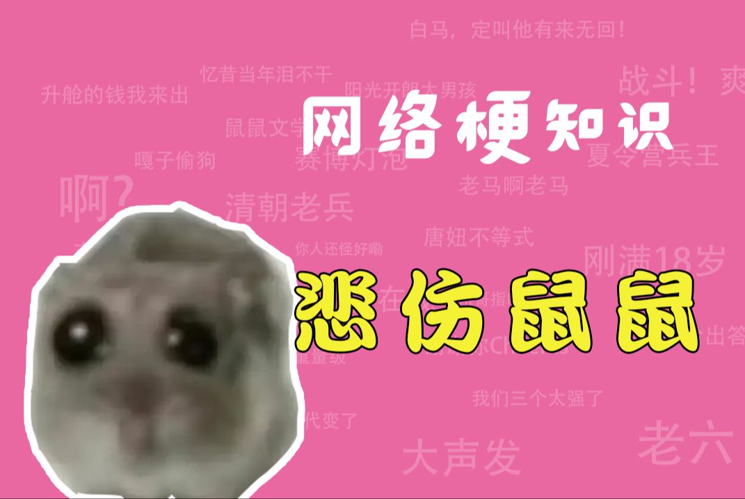 悲伤鼠鼠是什么梗?【网络梗知识】