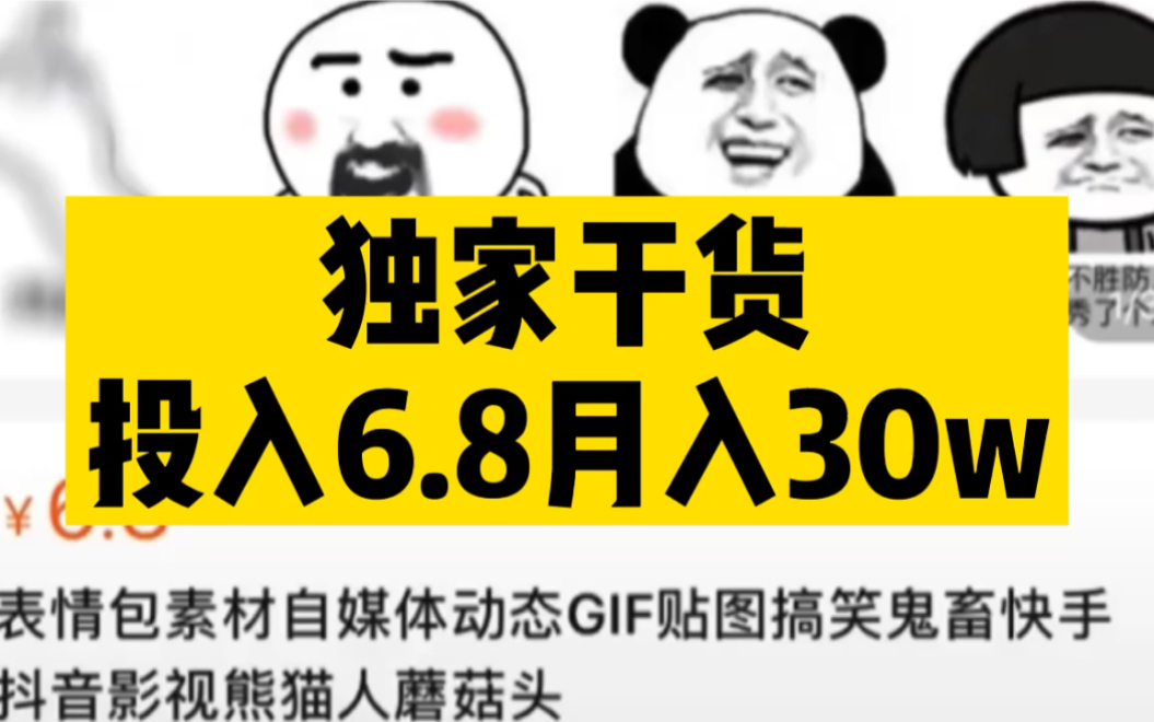 投入6.8月入29w,小白也能做的信息差项目!哔哩哔哩bilibili