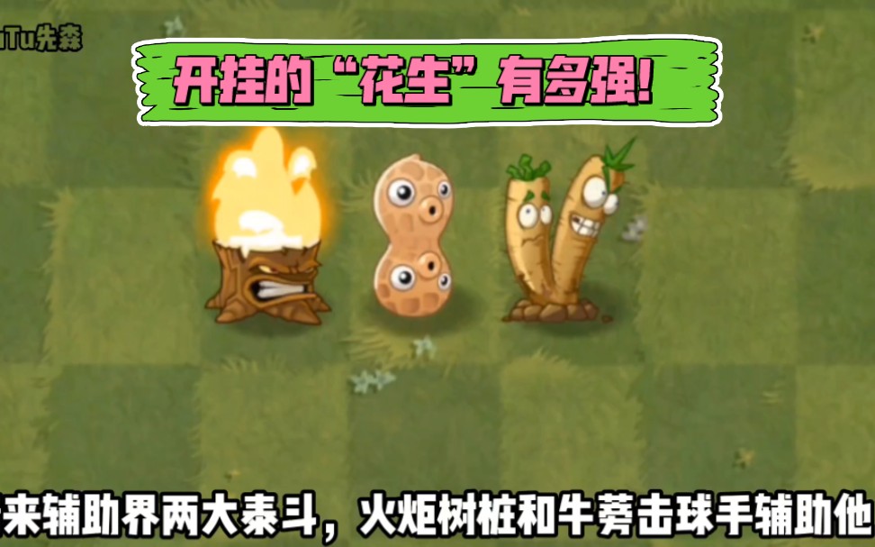 pvz2:開掛的